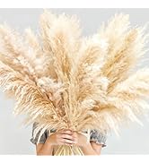 40" inch 10 PCS Dried Pampas Grass Decor Tall, Large Beige Natural Pampas Stems for Floor Vase, W...