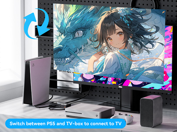 coaxial digital converter