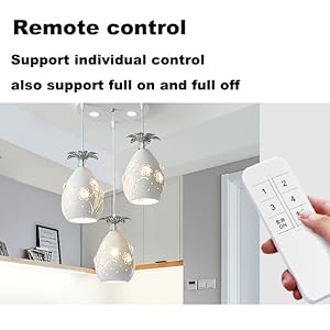 remote