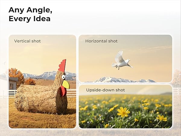  Compact Camera Tripod