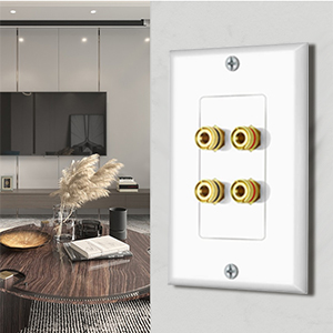 4 Banana Ports for 2 Speakers Wall Plate