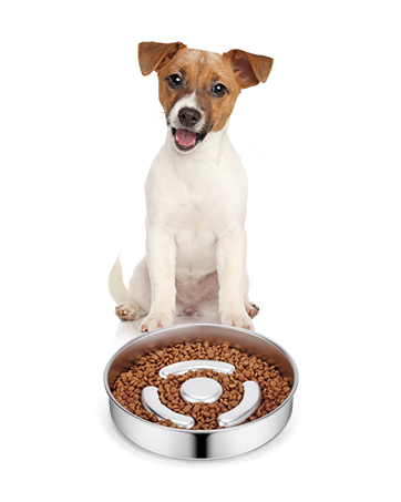 Slow Feeder Dog Bowls