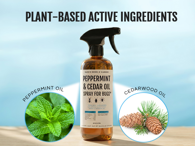 peppermint cedarwood oil spray repel plant based