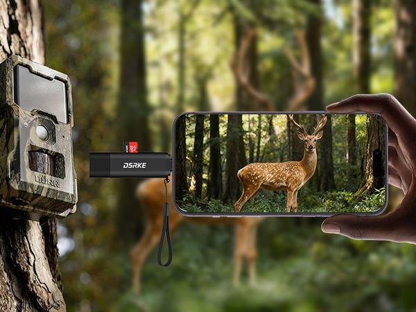 Trail camera footage sequence showing a deer in a wooded setting, captured from different angles as it moves through the frame.