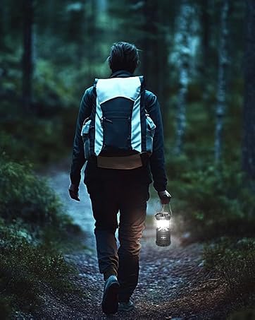 https://m.media-amazon.com/images/S/aplus-media-library-service-media/cc1638f9-829f-437a-98e7-fd7160fe7028.__CR498,0,479,600_PT0_SX362_V1___.jpg