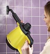 steam cleaner