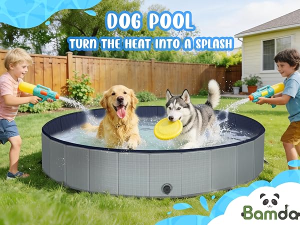 Dog Pool