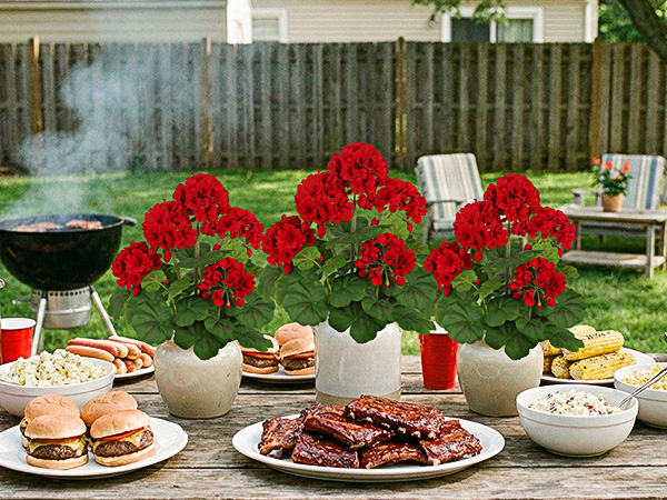 Artificial Geraniums