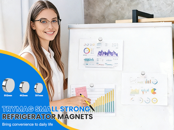 TRYMAG Rare Earth Magnets