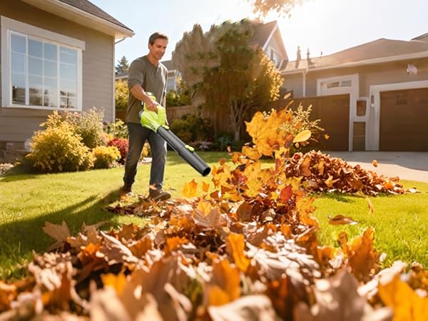 cordless leaf blower