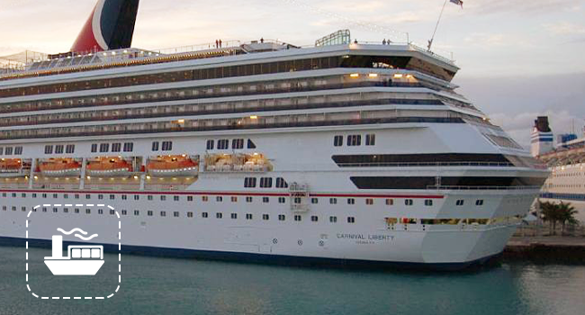 cruise must have for traveler