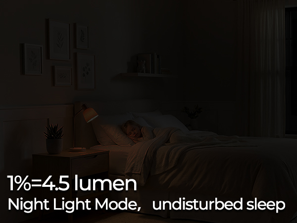 Night Light