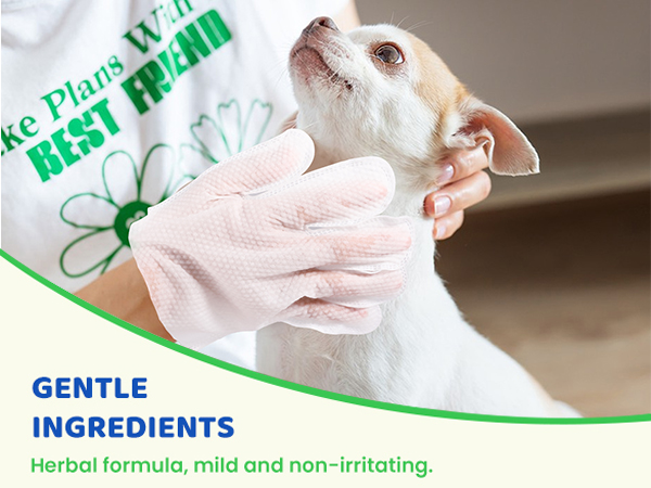 Pet Glove Wipes for Dogs