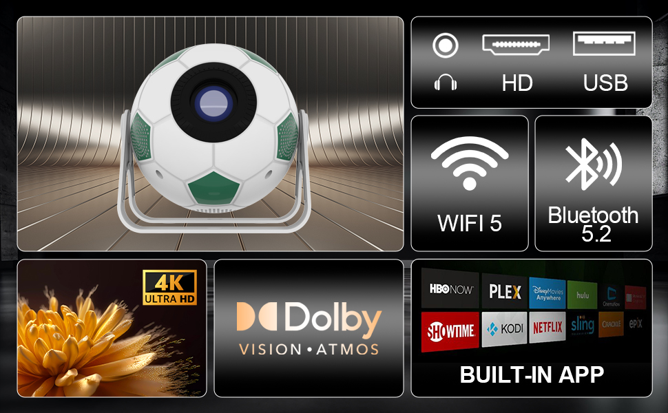 Portable Projector