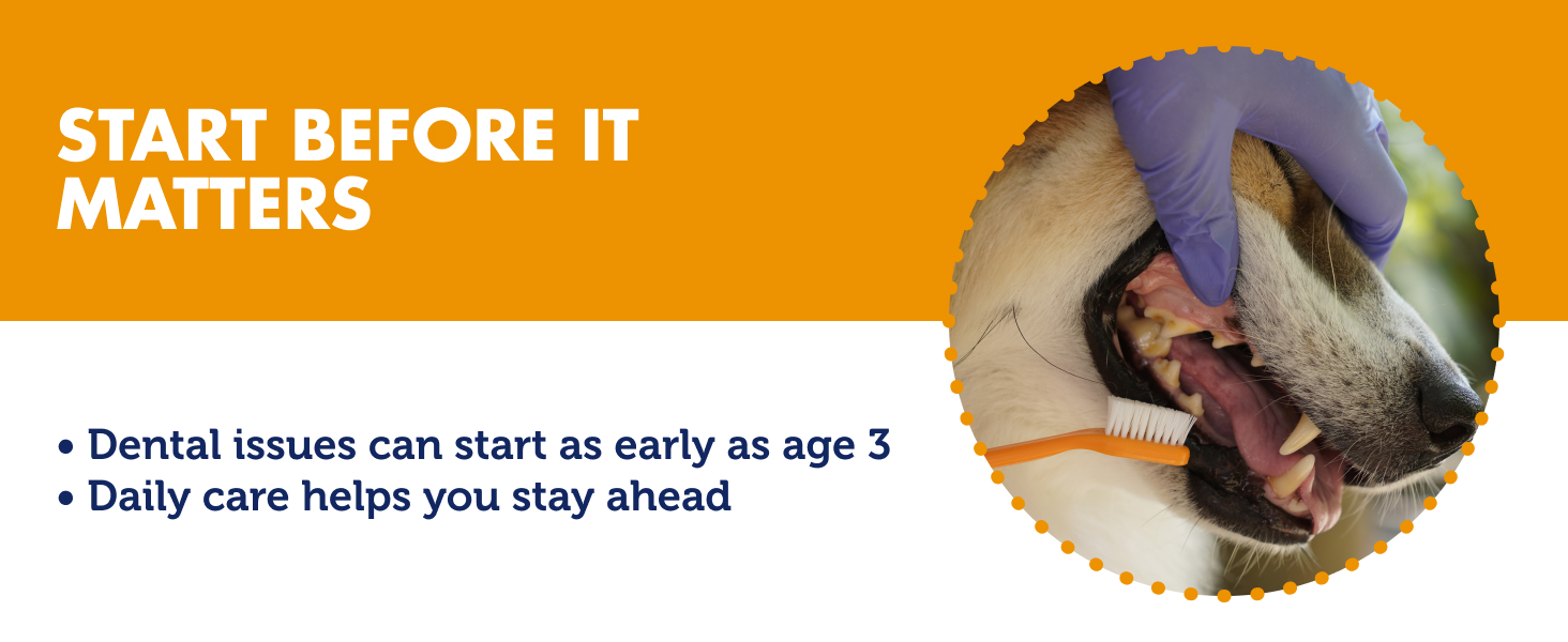Start before it matters