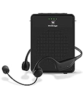 Voice amp