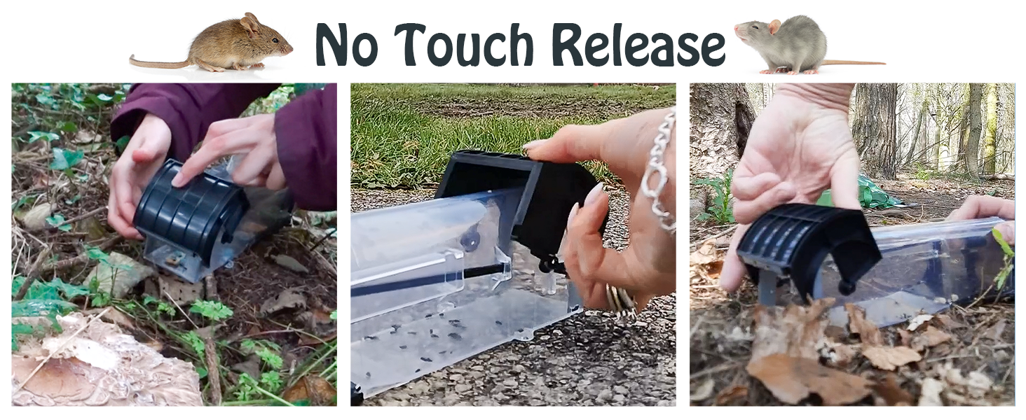 release