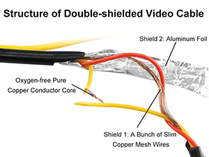 Dynamic Trajectory Backup Camera