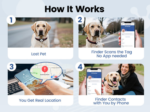 airtag holder for dog collar