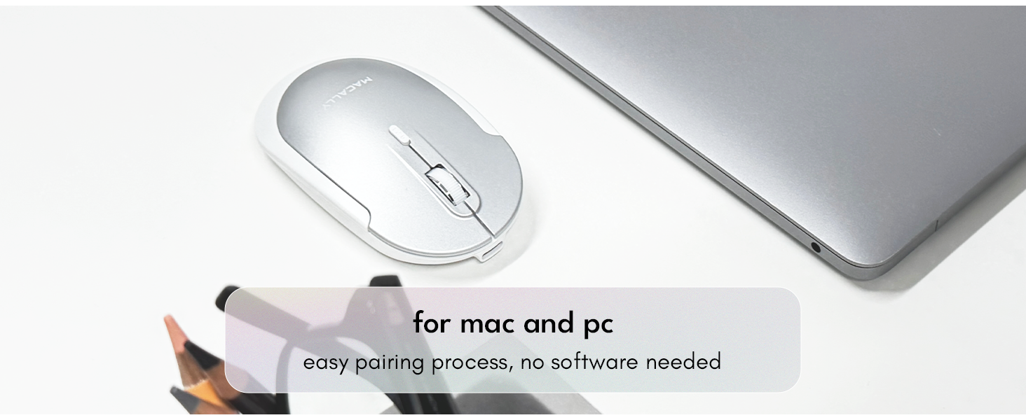 mouse
