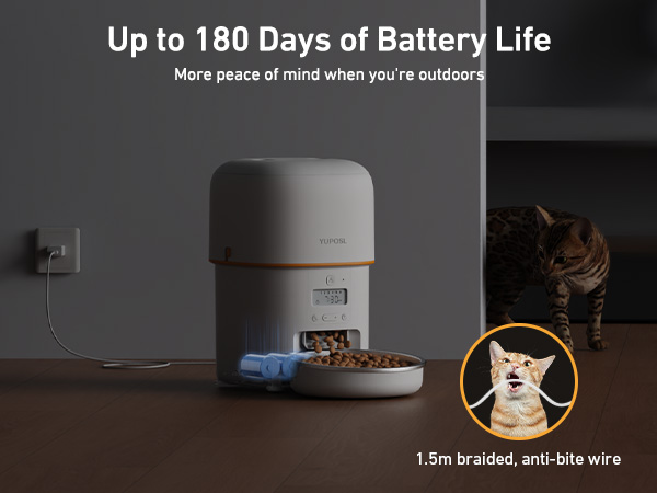 autoamtic cat feeder automatic cat food dispenser pet feeder