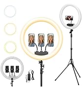 Ring Light with Stand and Phone Holder, 19" Ring Light Tripod for iPhone, Professional LED Circle...