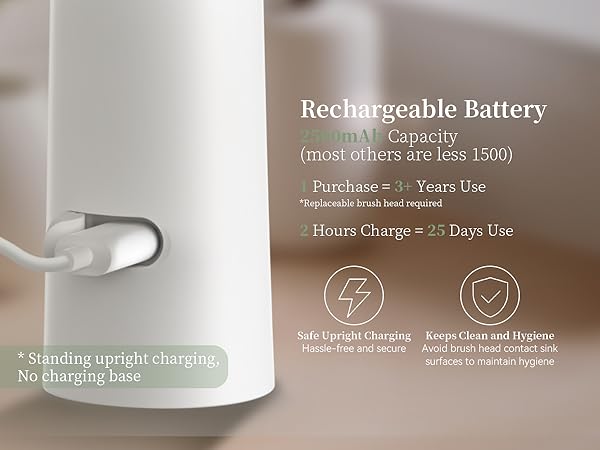 Electric Facial Cleansing Brush