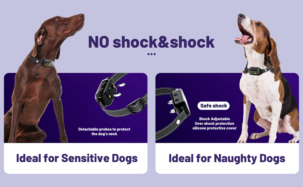 bark collar