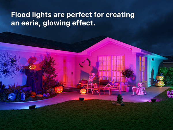 Halloween flood light