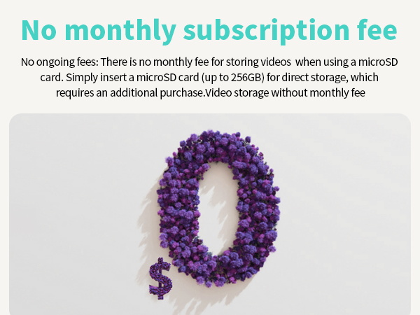 No monthly subscription fee