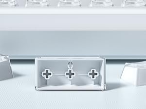 Shine Through PBT Keycaps, Custom Keycaps 60 75 100 Percent OEM Profile