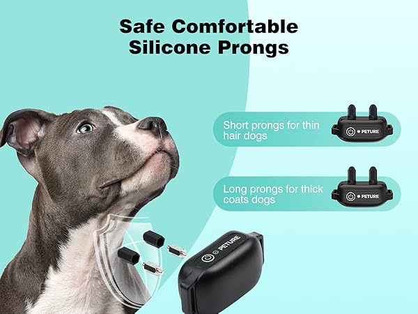 shock collar for dogs 60-100 lbs waterproof 3 pack