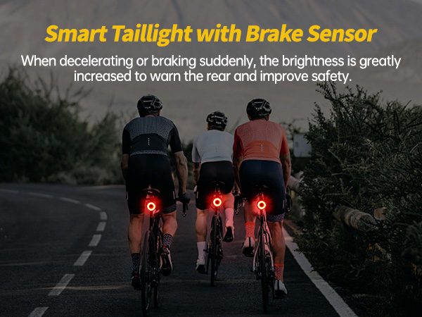 bike accessories for adult bikes