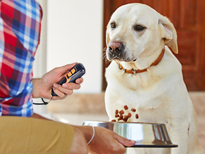 stop barking dog devices, barking stopper dog training dog barking silencer,bark stopper