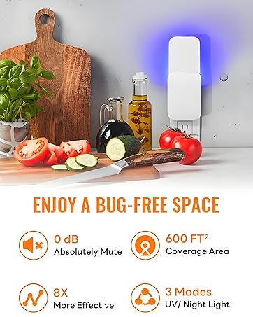 Enjou a bug-free space