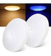 Obeaming 2 Pack RV Interior Ceiling Dome Light 4.5 Inch, Press Dimmer Switch &amp; Blue Nightlight,12...