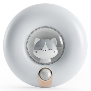 Motion Sensor Night Light