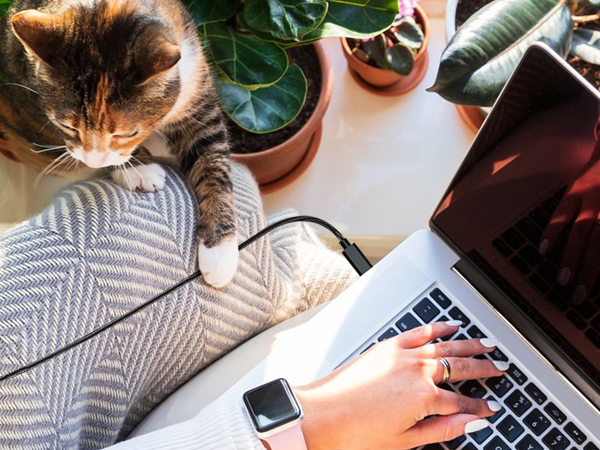 Super Fast Charger Type C