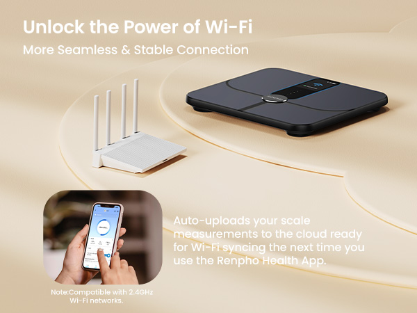 scale with stable conncetion