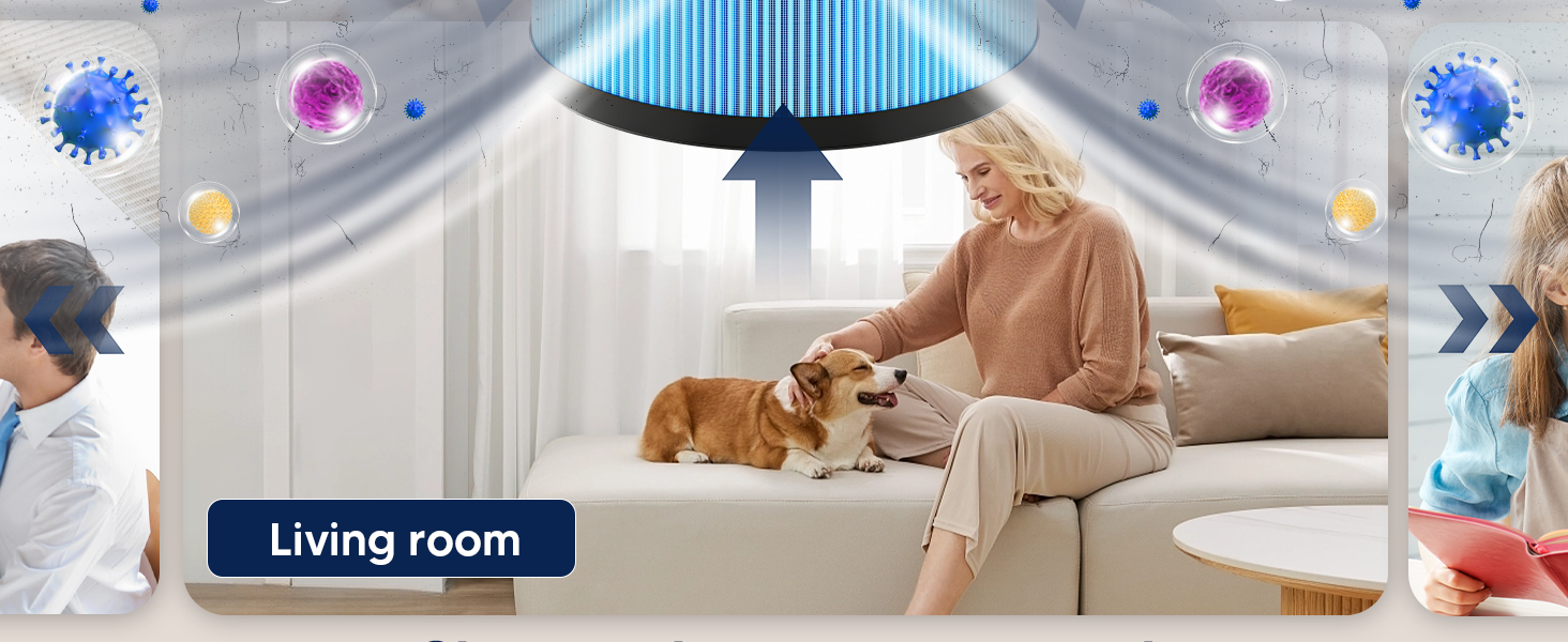 aroeve mk01 filter replacement