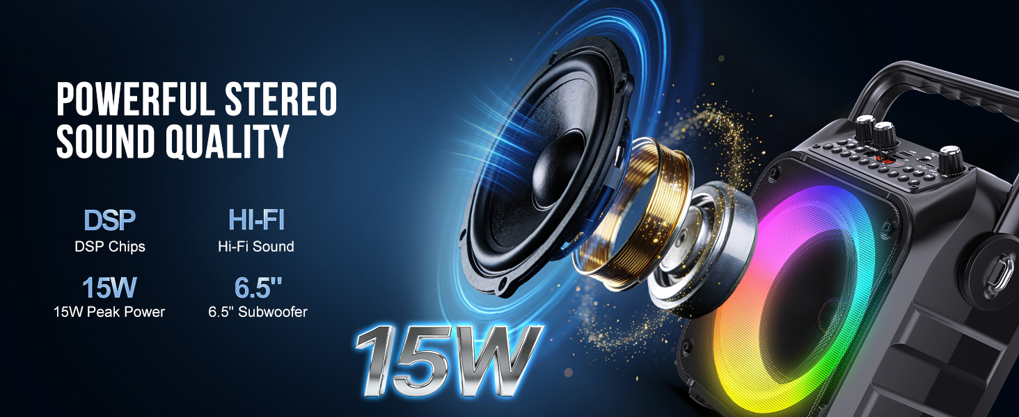 Karaoke Machine Mini Karaoke Machine Portable Bluetooth Speaker Karaoke Machine for Adults 2 Mics