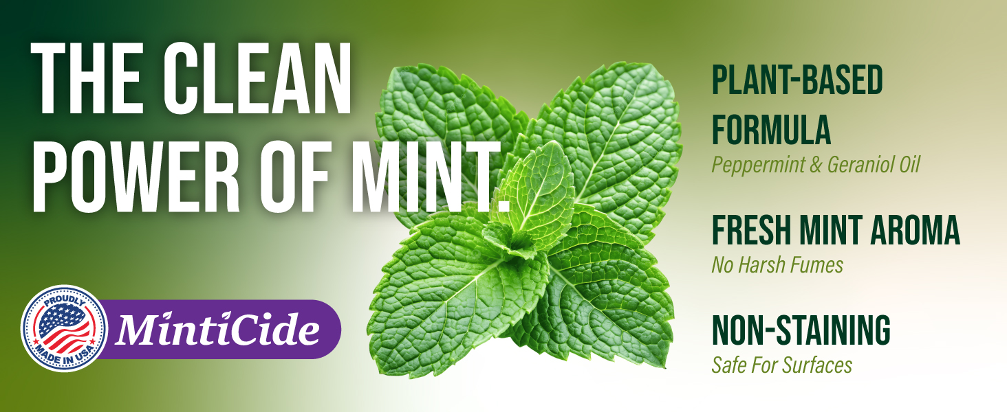 mint