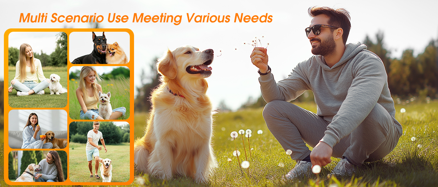 anti barking device for dogs