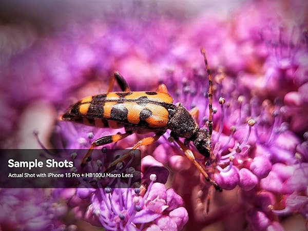 HB100U Upgraded Professional Macro Lens
