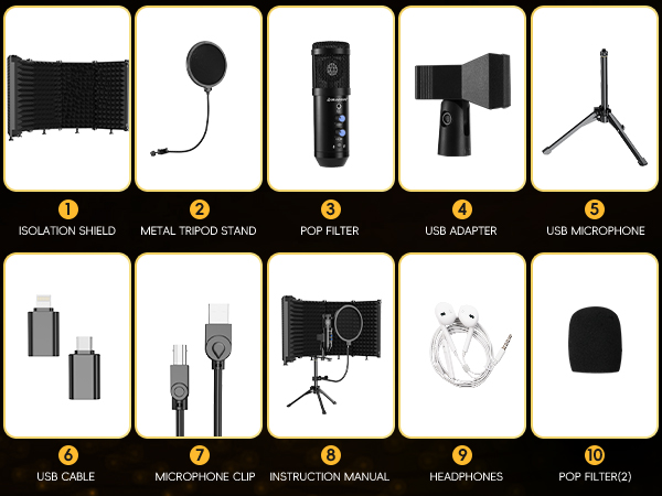 Studio Recording Microphone