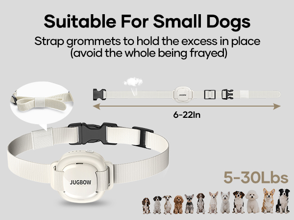 e collar for dogs training
