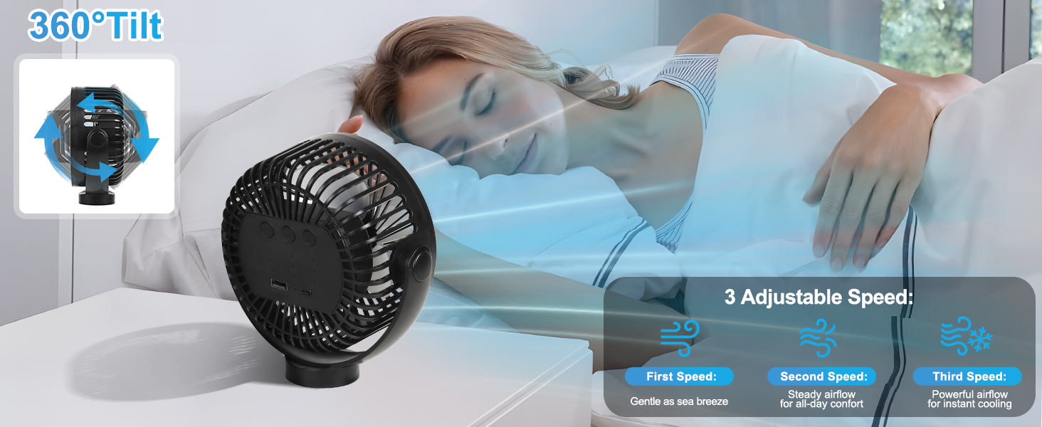 cruise fan approved royal caribbean