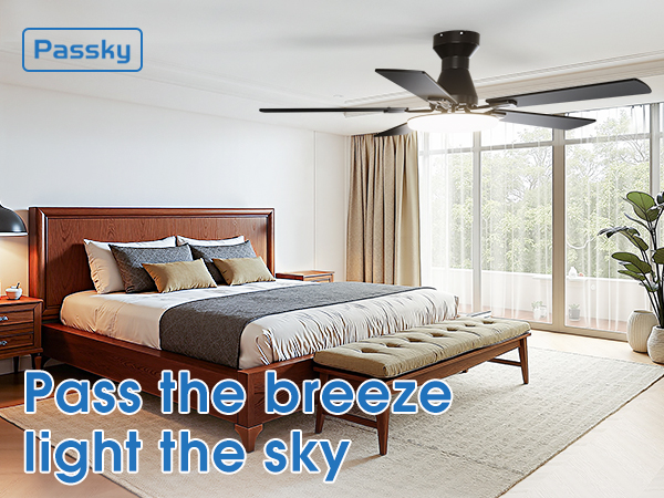 ceiling fans with lights