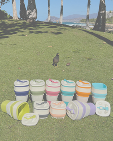 NWsystems Silicone Cup Family