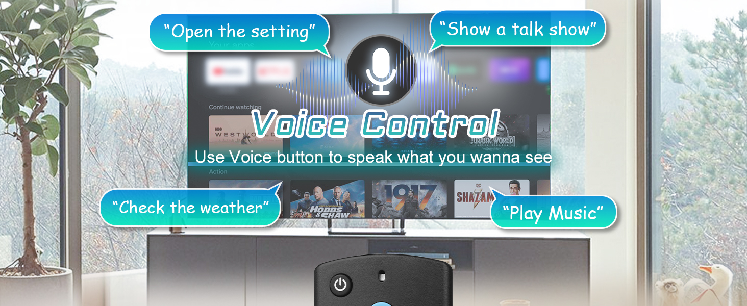 Voice Remote Replacement